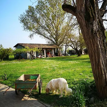 Agriturismo Elianto *